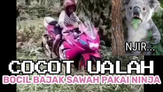 BOCHIL BAJAK SAWAH PAKAI NINJA ?? | CHOCHOT UALAH 13