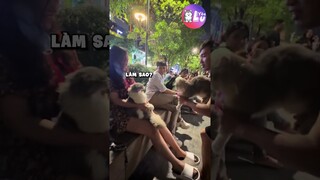Bộ môn thể thao mới: "CHỌI MÈO" 😂 #Shorts #Yeulu #Yeuluofficial