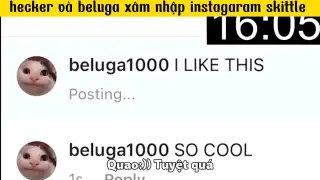 hecker và beluga xâm nhập instagram skittle #haihuoc