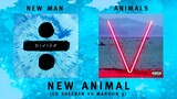 New Animal (Ed Sheeran vs Maroon 5 mashup)