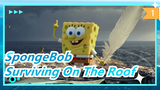 [SpongeBob] Don’t Take Pictures, Surviving On The Roof (With Subtitle)_B