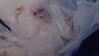 Throw bjd into the water and take pictures [vlog]