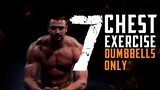6 MINUTE CHEST WORKOUT (DUMBBELLS ONLY)