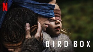 Bird Box