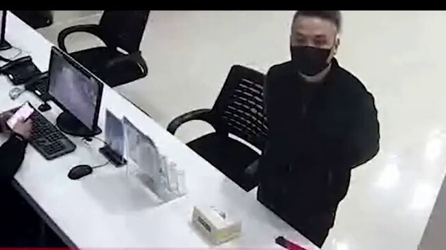 Labrador tersesat, jadi dia datang ke kantor polisi untuk "melaporkan kejahatannya." Ketika dia mema
