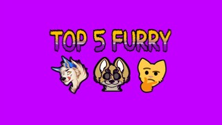 Top 5 Furry...