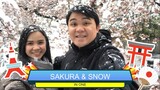 SAKURA SNOW | SNOW DURING SPRING TIME IN TOKYO
