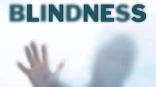 Blindness (Thriller Mystery)