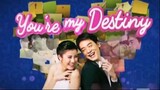 YOU'RE MY DESTINY EPISODE 5 (TAGALOG DUBBED)