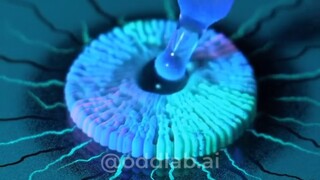Giọt nước tạo thành tinh thể