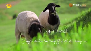 Nhà Hàng Trung Hoa S6 EP 4 [Sub Việt]