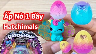 Ấp Nở Nguyên Bầy Trứng HATCHIMALS xem nó NTN