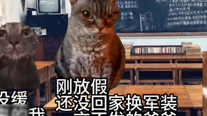 [Meme kucing] Aku yang biasa dan orang tuaku yang (tidak) biasa (1)