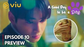 A Good Day to be a Dog Episode 10 Preview| Hae Na Falls SICK | Cha Eun Woo, Park Gyu Young