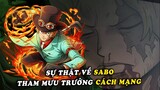 Sự thật về Sabo tham mưu trưởng quân Cách mạng trong One Piece
