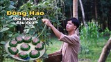 Hái Đậu Đũa Làm Món Ăn Ngon, Ăn Nhớ Tuổi Thơ | Vlog 16 | Đồng Hao