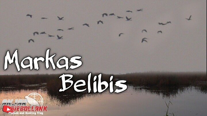 Disini Markas Blibis,Mandar dan ruak-ruak