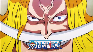 [Suntingan]Pertarungan Terkuat One Piece