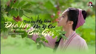 [Vietsub] Đoá hoa đơn độc trong bụi gai - Hy Lâm Na Y · Cao (荆棘中孤生的花) | OST Tích Hoa Chỉ