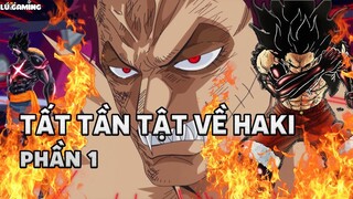 Tất Tần Tật Về HAKI - Phần 1 #53