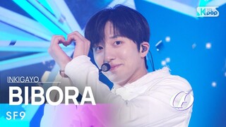 SF9(에스에프나인) - BIBORA @인기가요 inkigayo 20240114