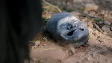 Công Tử Chàng Tên Gì EP 19 [Sub Việt]