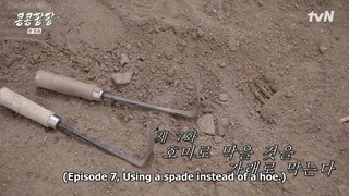 GBRB : Reap what you sow Ep.7 Eng Sub