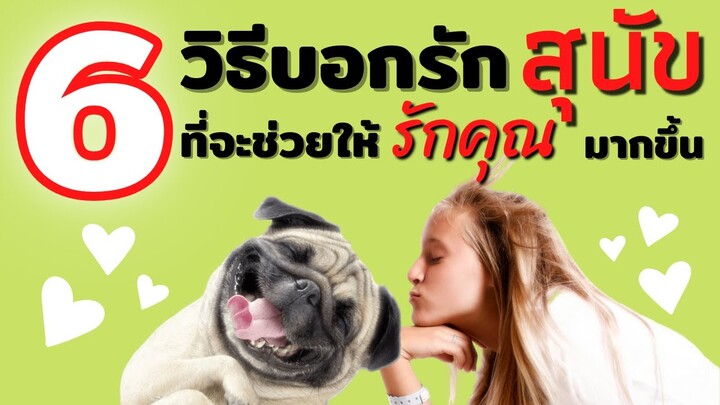 6วิธีบอกรักน้องหมาแบบตูบๆ ที่จะช่วยให้พวกมันรักคุณมากขึ้น #ECOBOK