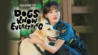 Dog Knows Everything Eps 2 Sub Indo