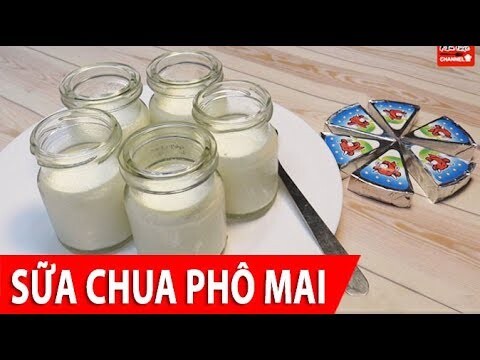 Cách làm Sữa Chua Phô Mai thơm ngon dễ làm tại nhà, ngon đúng vị ăn hoài không chán