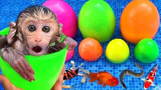 Monkey Baby Bon Bon open rainbow egg containing ducklings and eats ice cream with puppy the pool