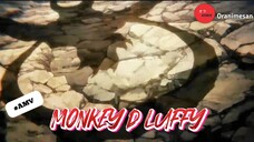 MONKEY D LUFFY !!!!