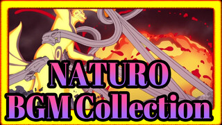 NATURO|[Including The Movie/Updated to EP 10]BGM Collection_J