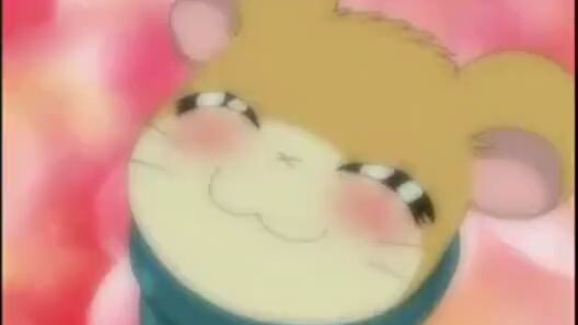 Hamtaro EP 106