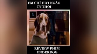 phimhay phimhay24h phimhaymoinhat reviewphim phimvientuong phimmy
