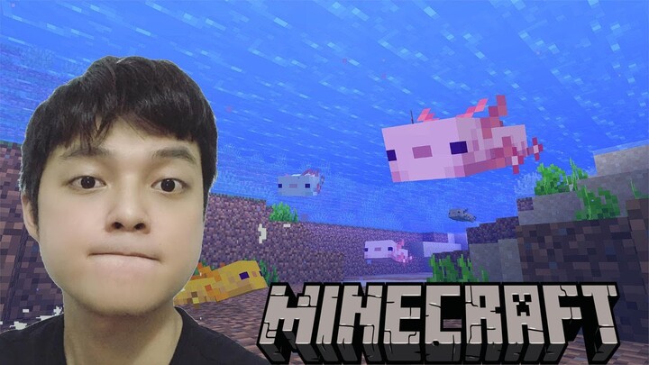 Minecraft Gà Sinh Tồn Tập 16 : Tàu Hải Tặc Đắm Và Kì Nhông Mexico !