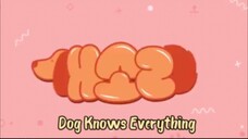 Dog Knows Everything eps 12 END