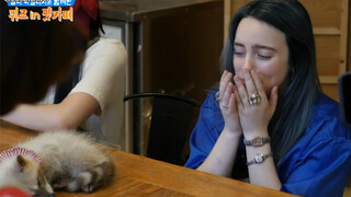 Billie Eilish in a Pet Cafe in Korea.