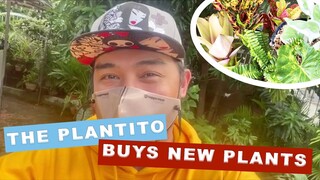 THE PLANTITO BUYS NEW PLANTS!