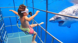 พยายามอย่าหัวเราะ ปฏิกิริยาของทารกที่พิพิธภัณฑ์สัตว์น้ำ - Baby Shark Doo Doo Doo