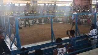May 1 2025 (Hack fight)