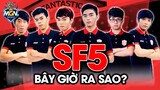 SF5 - Đội Hình LMHT Gây Tiếc Nuối Nhất Việt Nam GIỜ RA SAO | MGN eSports