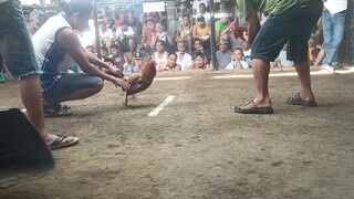 07/16/2023 Tig dalaw tare ng mga manok salamat sa walang sawa sayu