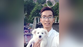 AI muốn đón e về ko nào? cunyeucuadua yeucho yeuchomeo cún cúncon chó chómèo chócon chókhôn yeuchomeo chócute pet dog dogsoftiktok