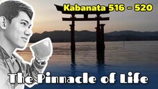 The Pinnacle of Life / Kabanata 516 - 520