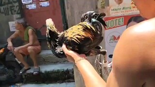 Ganda nq pitik mo dun napatulog mo kalaban mo dun. naunahan kana pero isang ganti lang.