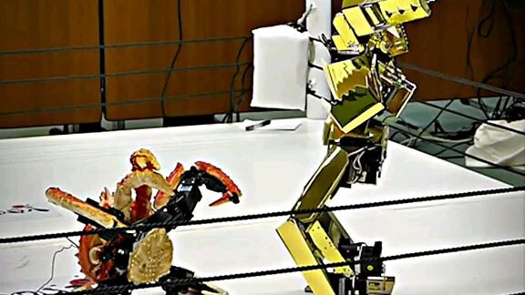Robot fight