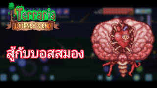 [EP.3][Terraria 1.4 Mobile - Master mod+for the Worthy] สู้กับบอสสมอง