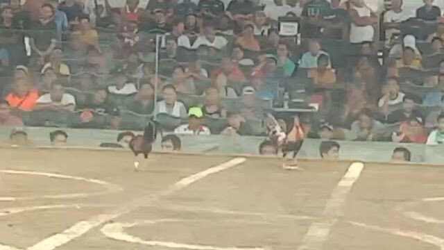 first fight 2hits ulutan (win)