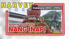 Nagkakamali kayo ng INAPI ( 3991 - 3995 )